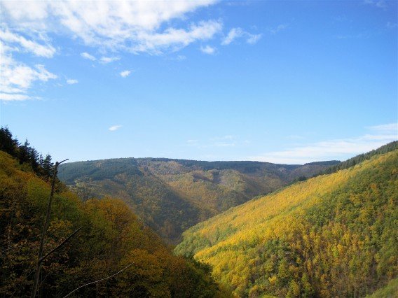 Our Valley in Autumn - La Muse